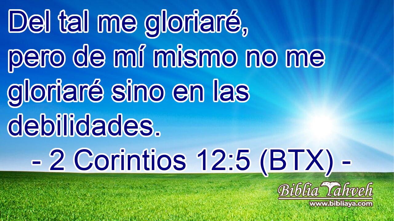 Del tal me gloriaré, pero de mí mismo no me gloriaré sino en las debilidades.