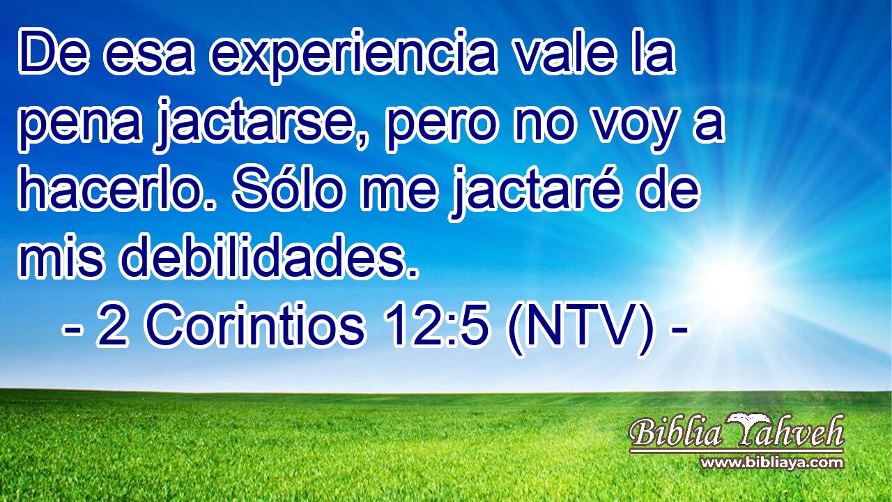 De esa experiencia vale la pena jactarse, pero no voy a hacerlo. Sólo me jactaré de mis debilidades.