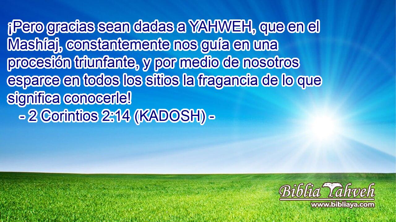 ¡Pero gracias sean dadas a YAHWEH, que en el Mashíaj, constantemente nos guía en una procesión triunfante, y por medio de nosotros esparce en todos los sitios la fragancia de lo que significa conocerle! 