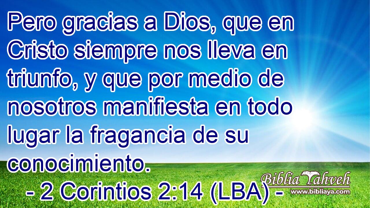 Pero gracias a Dios, que en Cristo siempre nos lleva en triunfo, y que por medio de nosotros manifiesta en todo lugar la fragancia de su conocimiento.