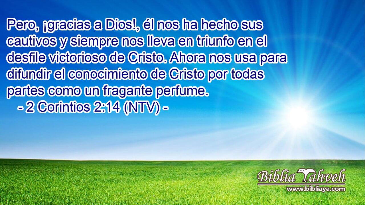 Pero, ¡gracias a Dios!, él nos ha hecho sus cautivos y siempre nos lleva en triunfo en el desfile victorioso de Cristo. Ahora nos usa para difundir el conocimiento de Cristo por todas partes como un fragante perfume.