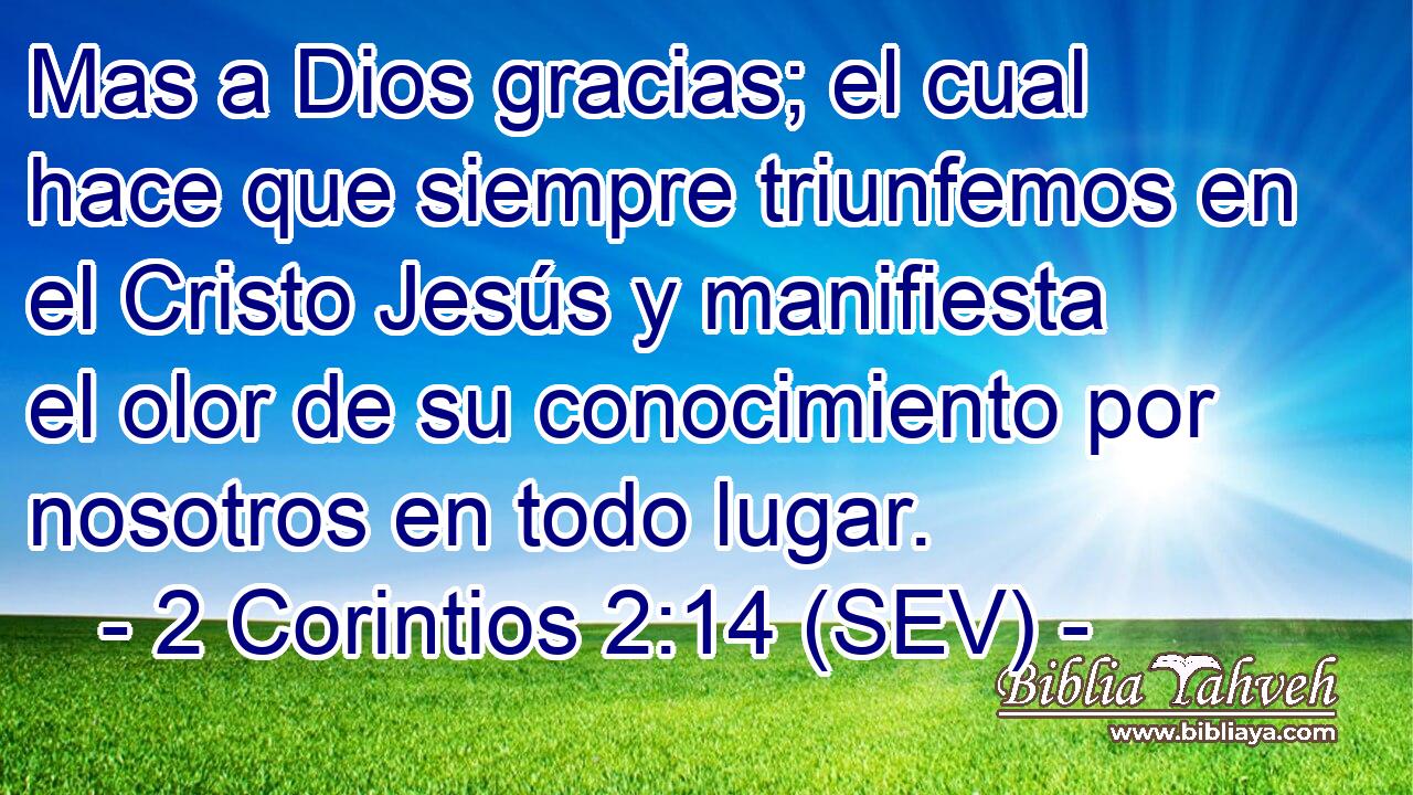 Mas a Dios gracias; el cual hace que siempre triunfemos en el Cristo Jesús y manifiesta el olor de su conocimiento por nosotros en todo lugar.