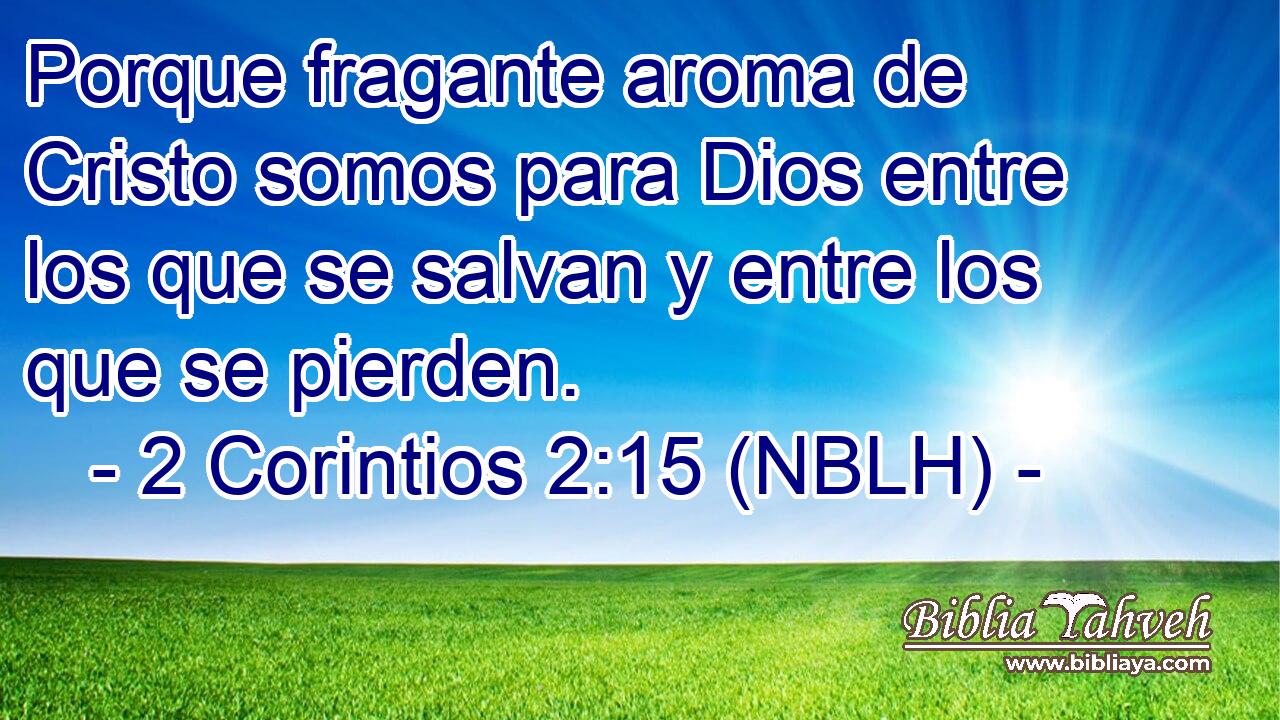  Porque fragante aroma de Cristo somos para Dios entre los que se salvan y entre los que se pierden. 