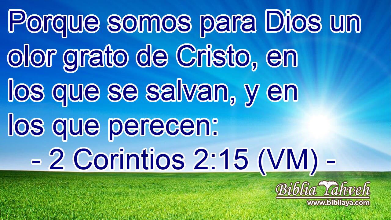  Porque somos para Dios un olor grato de Cristo, en los que se salvan, y en los que perecen: 