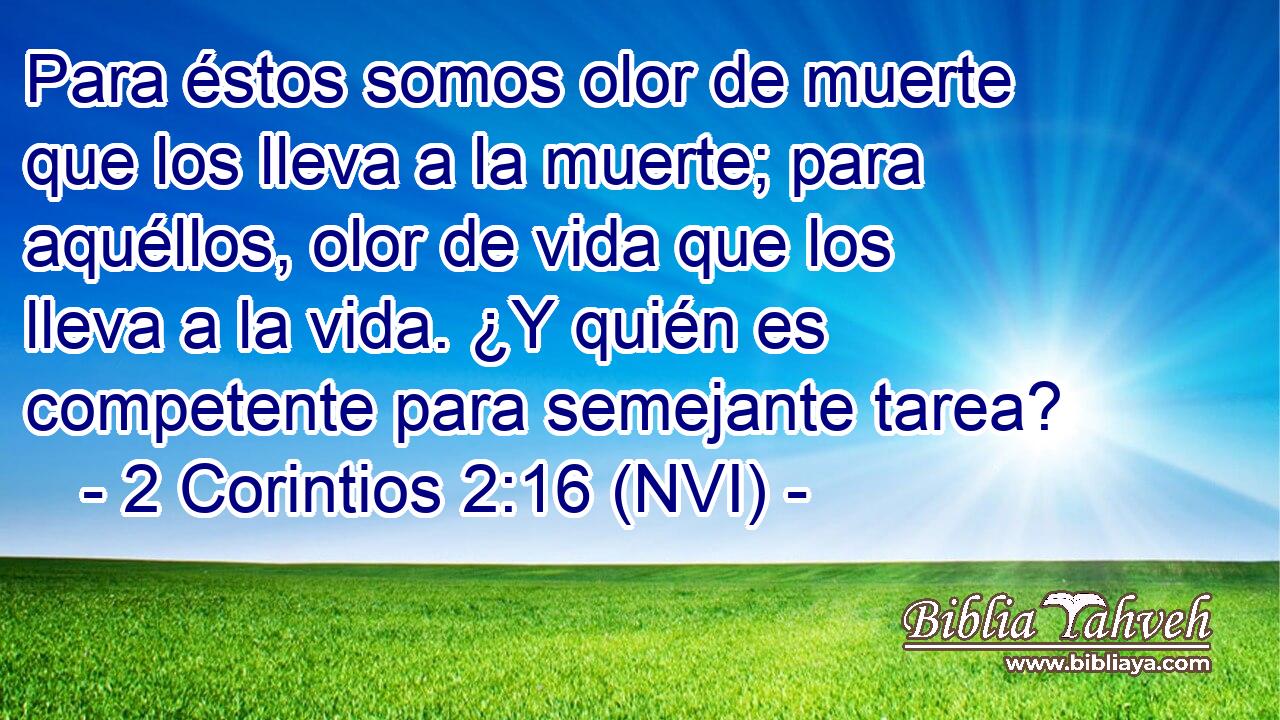  Para éstos somos olor de muerte que los lleva a la muerte; para aquéllos, olor de vida que los lleva a la vida. ¿Y quién es competente para semejante tarea? 