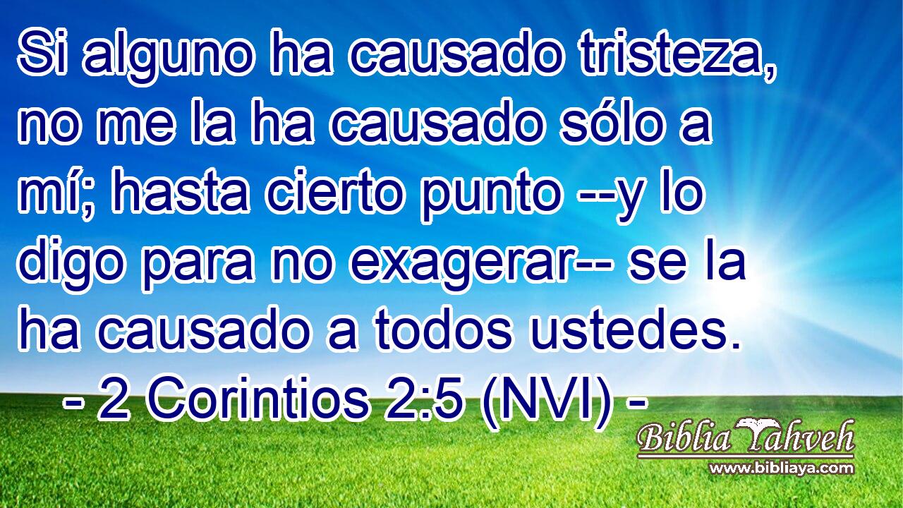  Si alguno ha causado tristeza, no me la ha causado sólo a mí; hasta cierto punto --y lo digo para no exagerar-- se la ha causado a todos ustedes. 