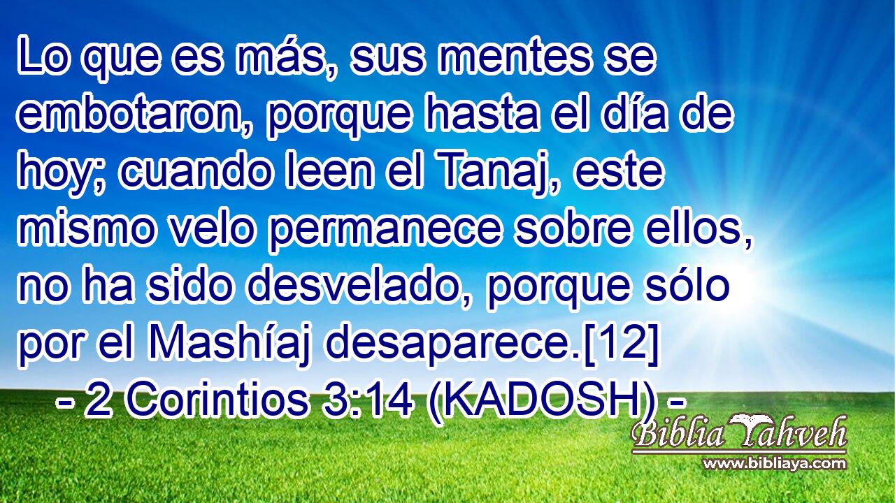  Lo que es más, sus mentes se embotaron, porque hasta el día de hoy; cuando leen el Tanaj, este mismo velo permanece sobre ellos, no ha sido desvelado, porque sólo por el Mashíaj desaparece.[12] 