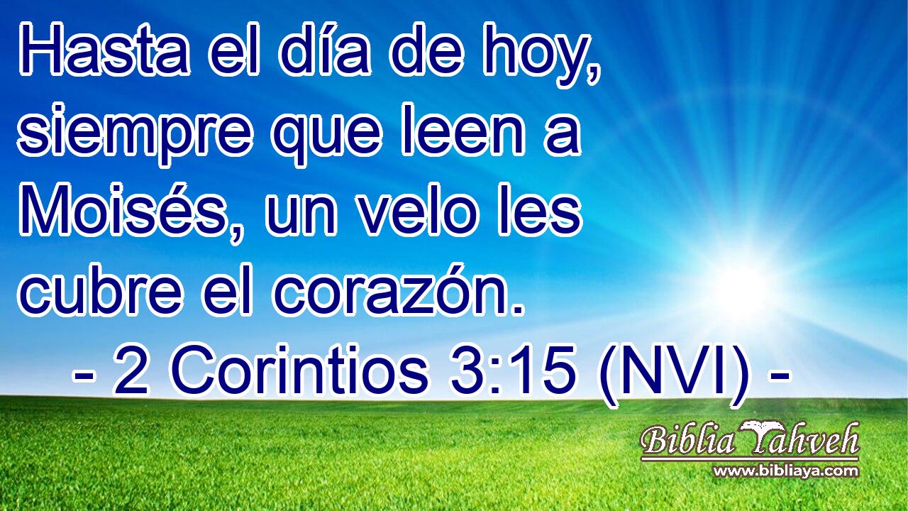  Hasta el día de hoy, siempre que leen a Moisés, un velo les cubre el corazón. 