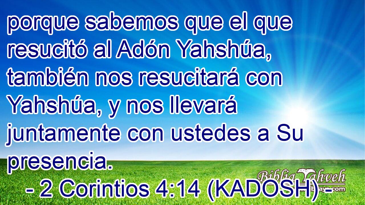  porque sabemos que el que resucitó al Adón Yahshúa, también nos resucitará con Yahshúa, y nos llevará juntamente con ustedes a Su presencia. 