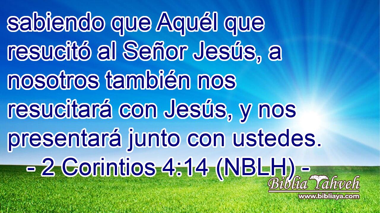  sabiendo que Aquél que resucitó al Señor Jesús, a nosotros también nos resucitará con Jesús, y nos presentará junto con ustedes. 
