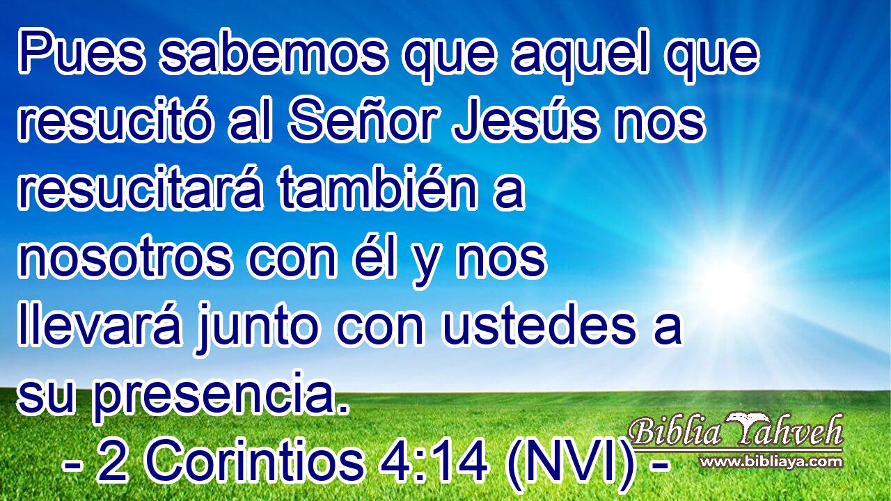  Pues sabemos que aquel que resucitó al Señor Jesús nos resucitará también a nosotros con él y nos llevará junto con ustedes a su presencia. 