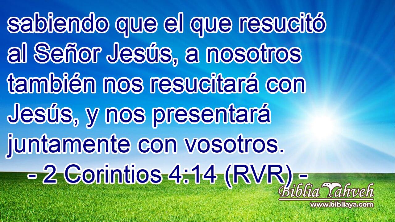 sabiendo que el que resucitó al Señor Jesús, a nosotros también nos resucitará con Jesús, y nos presentará juntamente con vosotros.