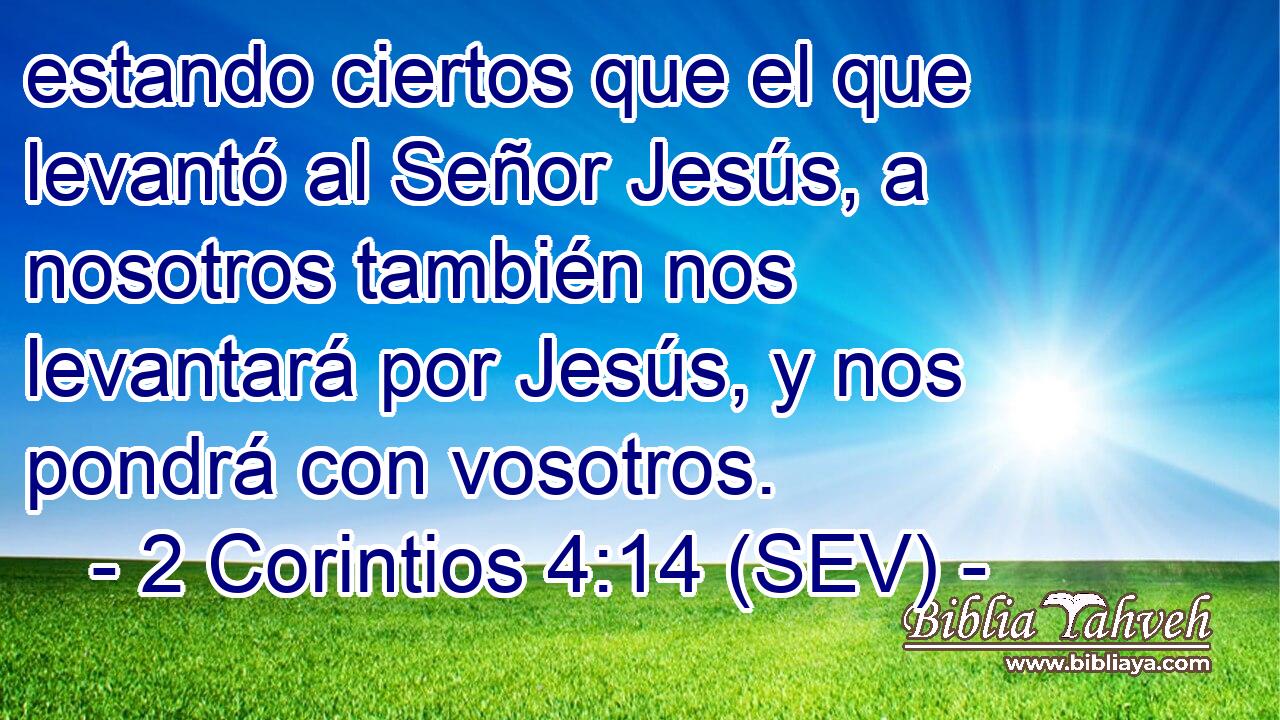 estando ciertos que el que levantó al Señor Jesús, a nosotros también nos levantará por Jesús, y nos pondrá con vosotros.