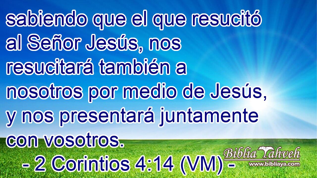  sabiendo que el que resucitó al Señor Jesús, nos resucitará también a nosotros por medio de Jesús, y nos presentará juntamente con vosotros. 