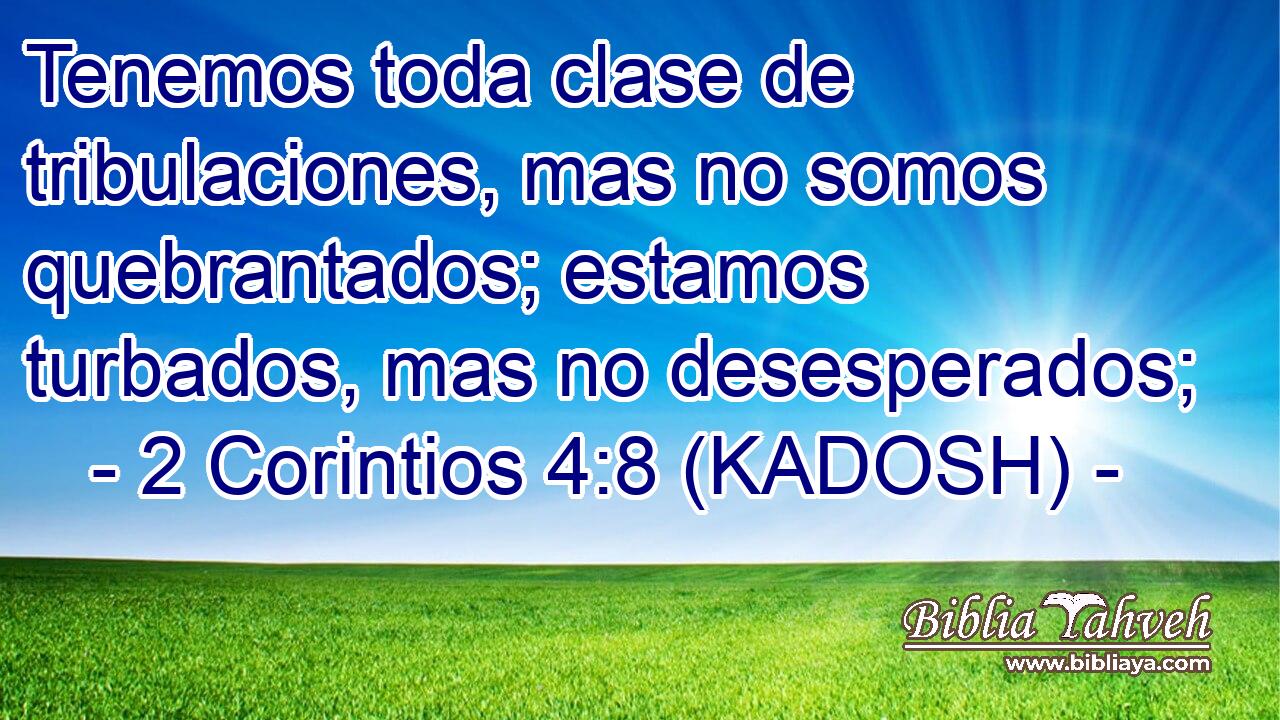  Tenemos toda clase de tribulaciones, mas no somos quebrantados; estamos turbados, mas no desesperados; 