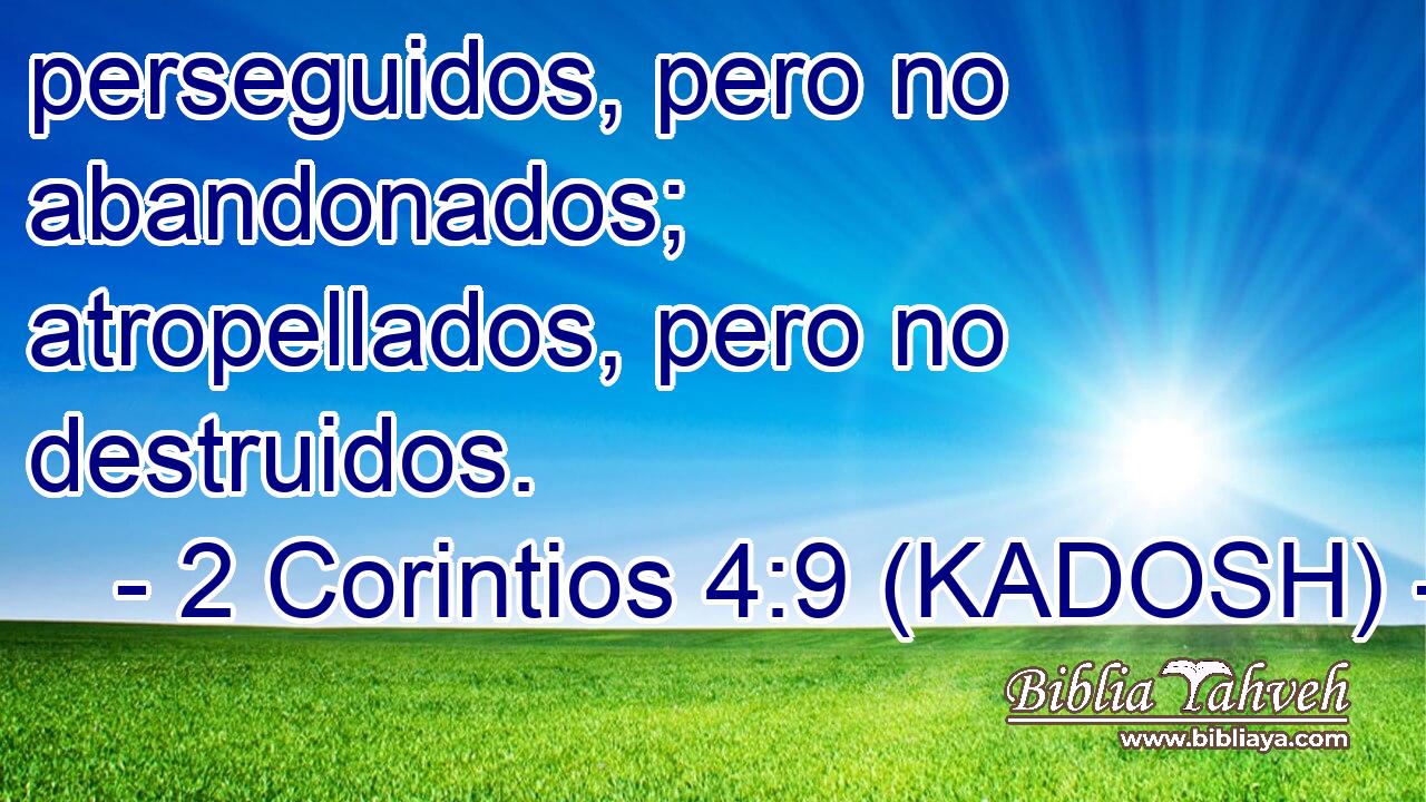  perseguidos, pero no abandonados; atropellados, pero no destruidos. 