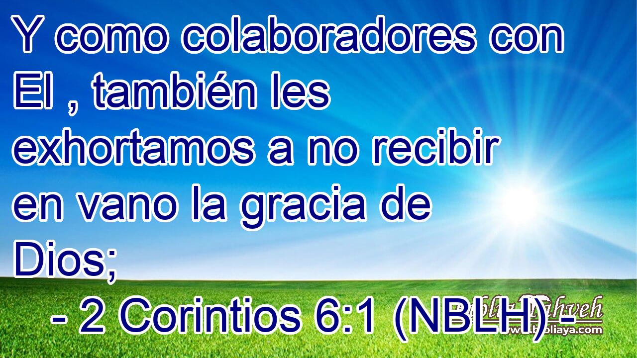  Y como colaboradores con El , también les exhortamos a no recibir en vano la gracia de Dios; 
