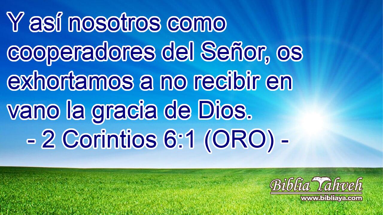  Y así nosotros como cooperadores del Señor, os exhortamos a no recibir en vano la gracia de Dios. 
