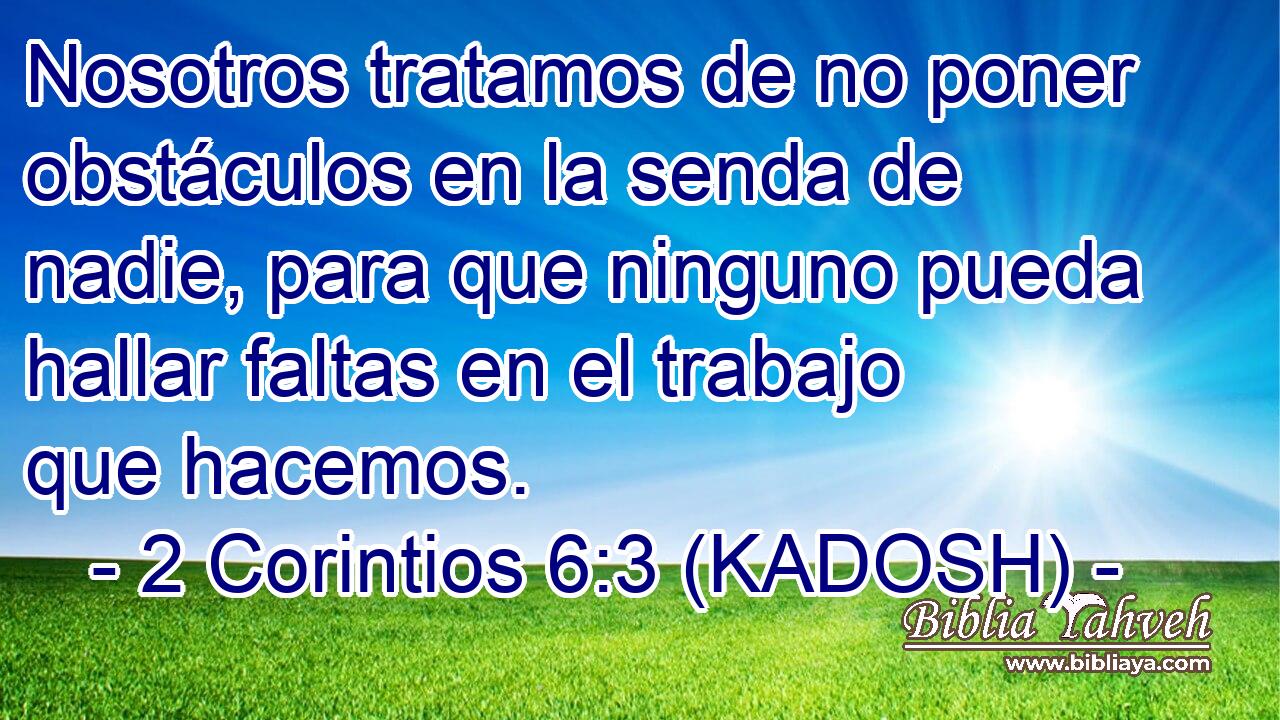  Nosotros tratamos de no poner obstáculos en la senda de nadie, para que ninguno pueda hallar faltas en el trabajo que hacemos. 