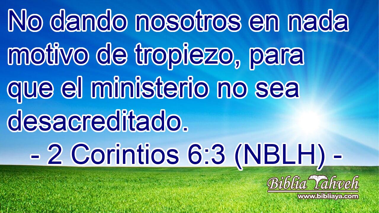  No dando nosotros en nada motivo de tropiezo, para que el ministerio no sea desacreditado. 
