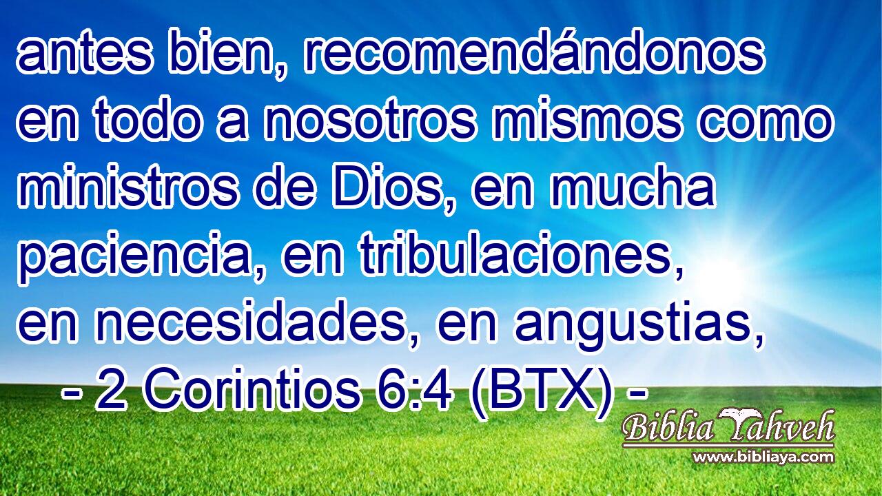 antes bien, recomendándonos en todo a nosotros mismos como ministros de Dios, en mucha paciencia, en tribulaciones, en necesidades, en angustias,