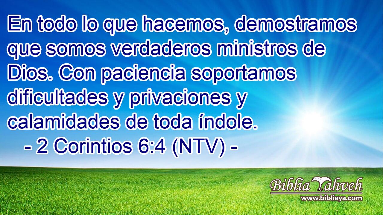 En todo lo que hacemos, demostramos que somos verdaderos ministros de Dios. Con paciencia soportamos dificultades y privaciones y calamidades de toda índole.