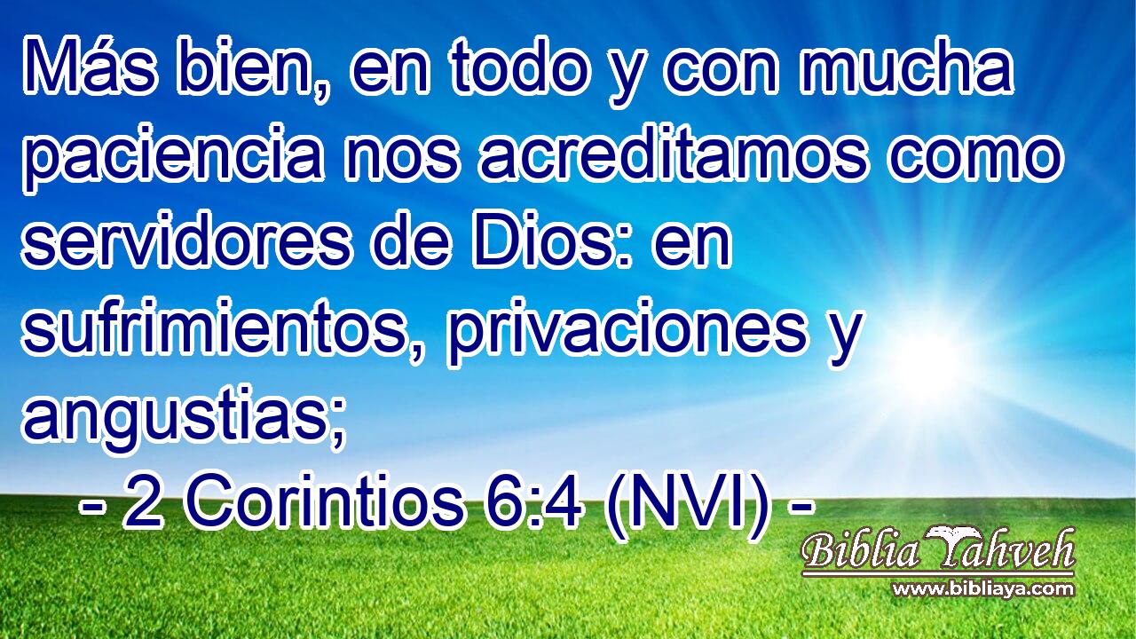  Más bien, en todo y con mucha paciencia nos acreditamos como servidores de Dios: en sufrimientos, privaciones y angustias; 