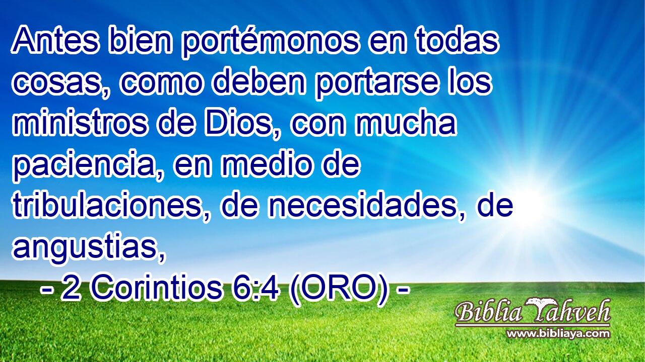  Antes bien portémonos en todas cosas, como deben portarse los ministros de Dios, con mucha paciencia, en medio de tribulaciones, de necesidades, de angustias, 