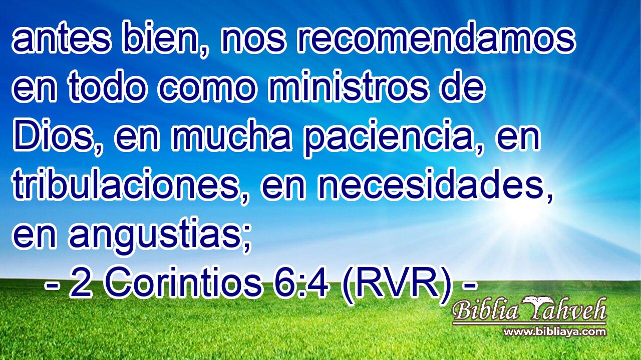 antes bien, nos recomendamos en todo como ministros de Dios, en mucha paciencia, en tribulaciones, en necesidades, en angustias;