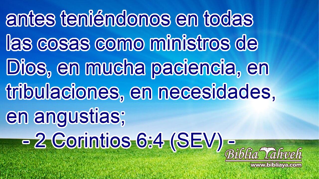 antes teniéndonos en todas las cosas como ministros de Dios, en mucha paciencia, en tribulaciones, en necesidades, en angustias;