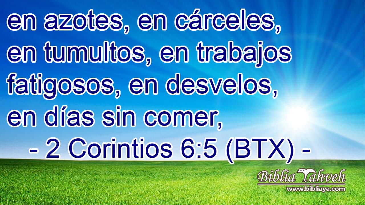 en azotes, en cárceles, en tumultos, en trabajos fatigosos, en desvelos, en días sin comer,