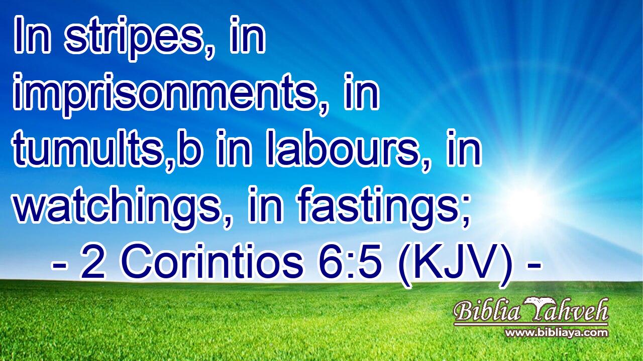 In stripes, in imprisonments, in tumults,b in labours, in watchings, in fastings;