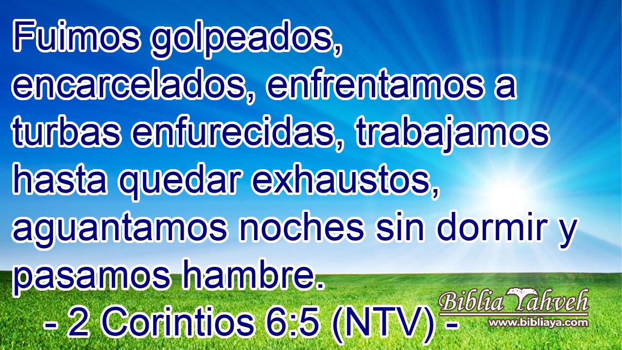 Fuimos golpeados, encarcelados, enfrentamos a turbas enfurecidas, trabajamos hasta quedar exhaustos, aguantamos noches sin dormir y pasamos hambre.