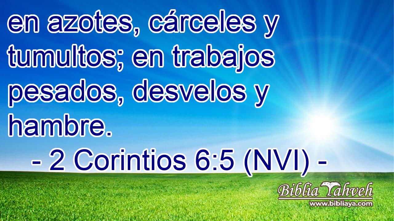  en azotes, cárceles y tumultos; en trabajos pesados, desvelos y hambre. 