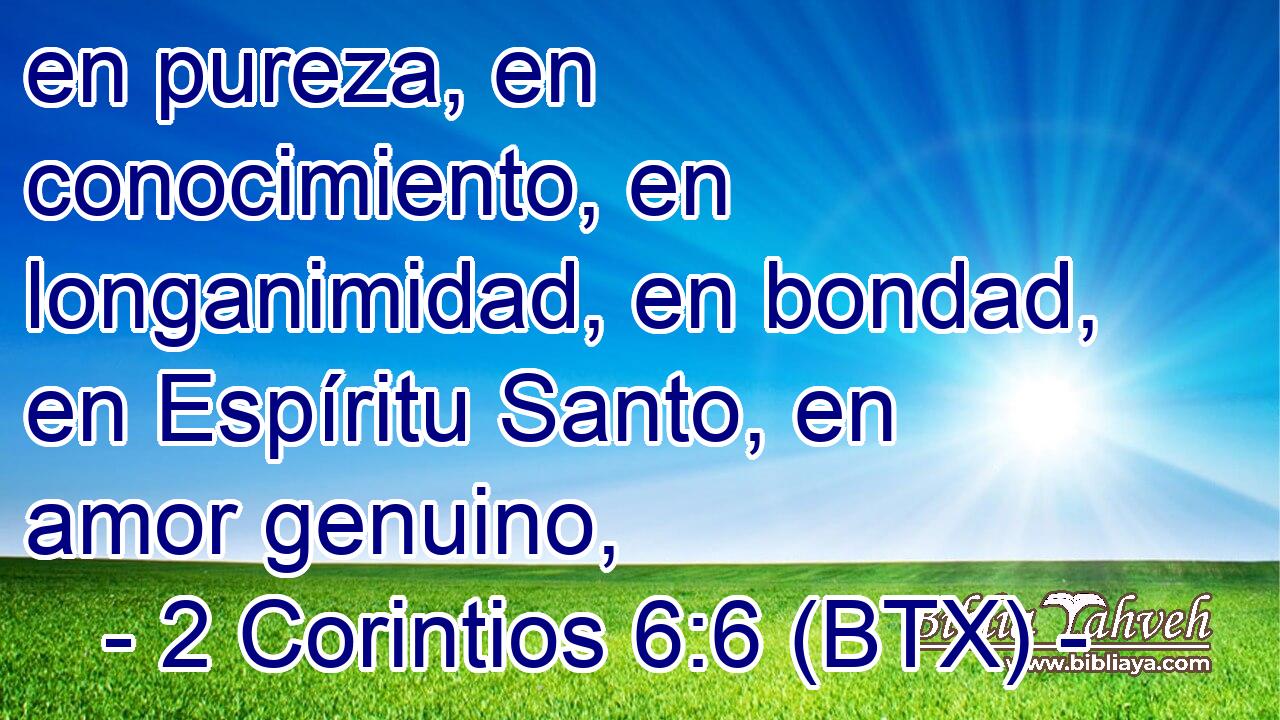 en pureza, en conocimiento, en longanimidad, en bondad, en Espíritu Santo, en amor genuino,