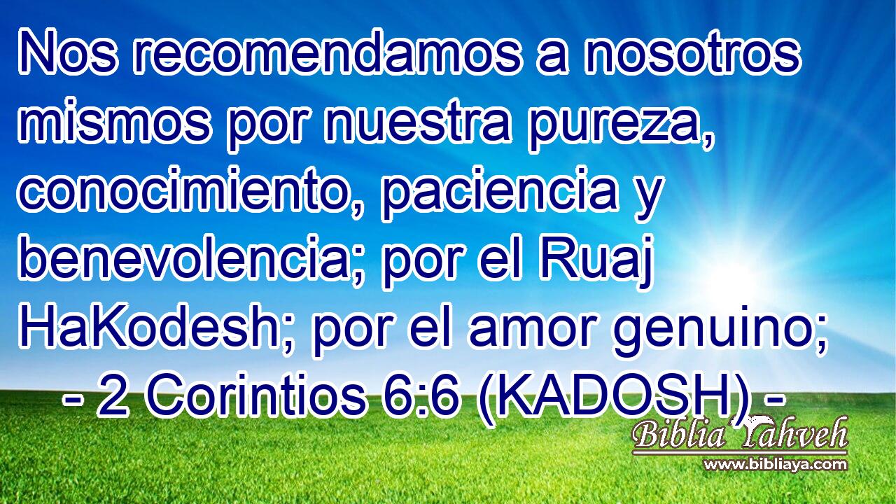  Nos recomendamos a nosotros mismos por nuestra pureza, conocimiento, paciencia y benevolencia; por el Ruaj HaKodesh; por el amor genuino; 