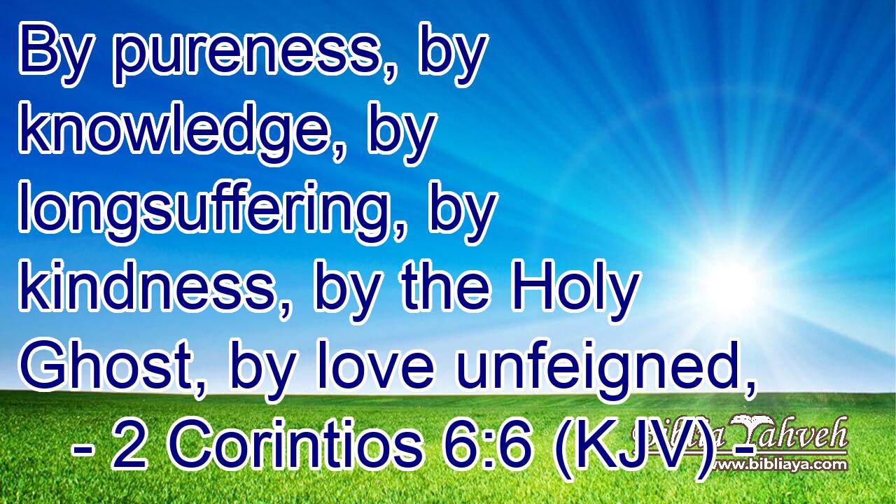 By pureness, by knowledge, by longsuffering, by kindness, by the Holy Ghost, by love unfeigned,