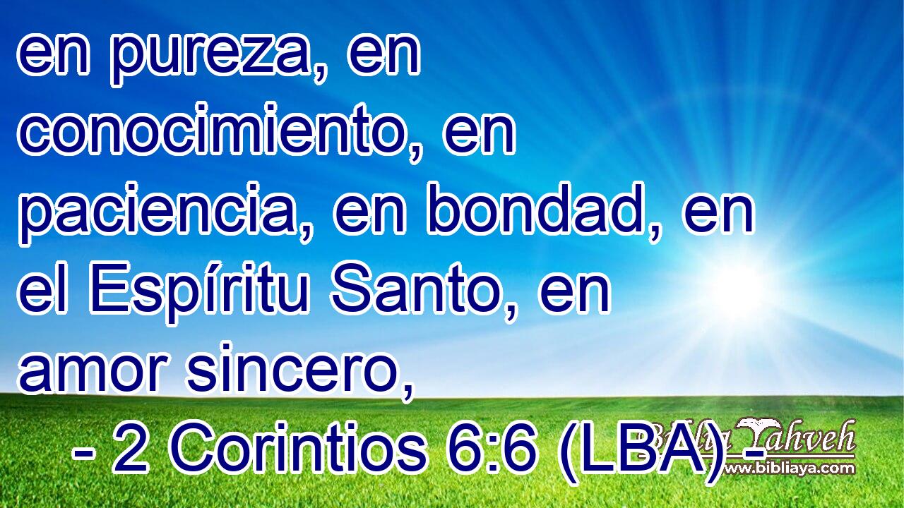en pureza, en conocimiento, en paciencia, en bondad, en el Espíritu Santo, en amor sincero,