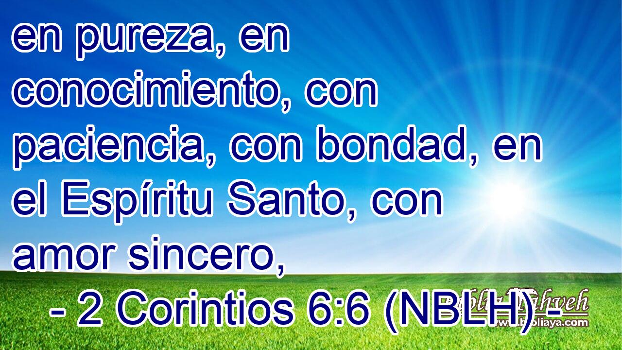  en pureza, en conocimiento, con paciencia, con bondad, en el Espíritu Santo, con amor sincero, 