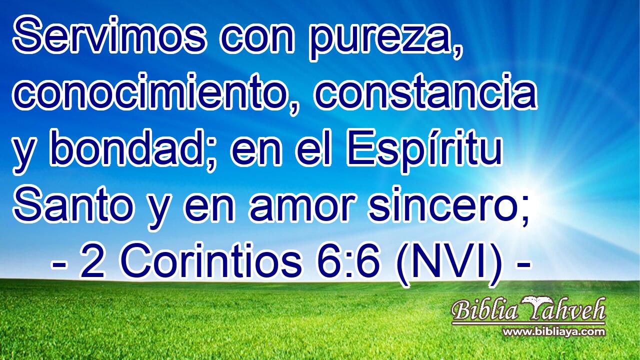  Servimos con pureza, conocimiento, constancia y bondad; en el Espíritu Santo y en amor sincero; 