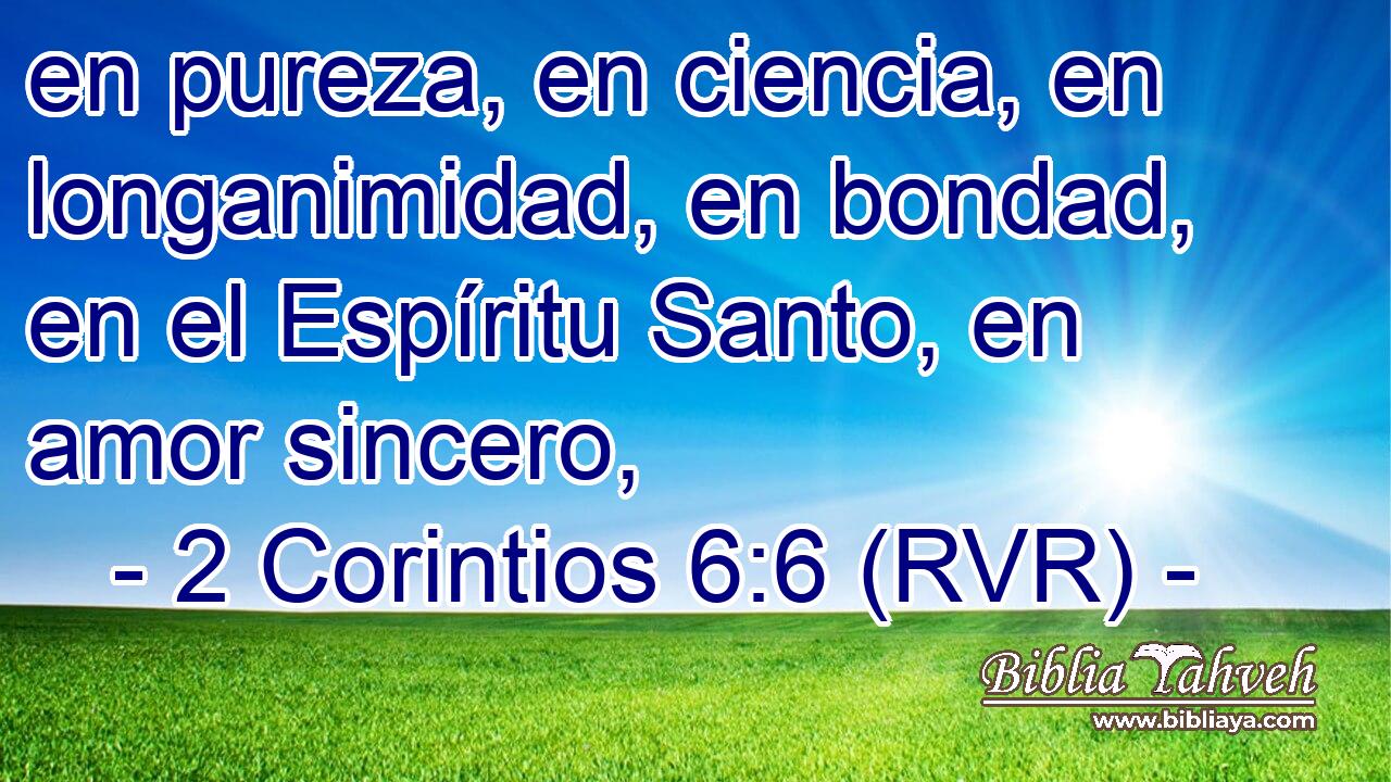 en pureza, en ciencia, en longanimidad, en bondad, en el Espíritu Santo, en amor sincero,