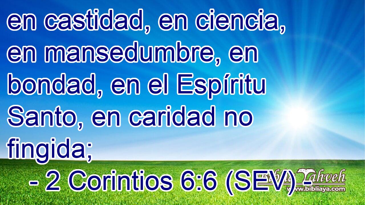 en castidad, en ciencia, en mansedumbre, en bondad, en el Espíritu Santo, en caridad no fingida;