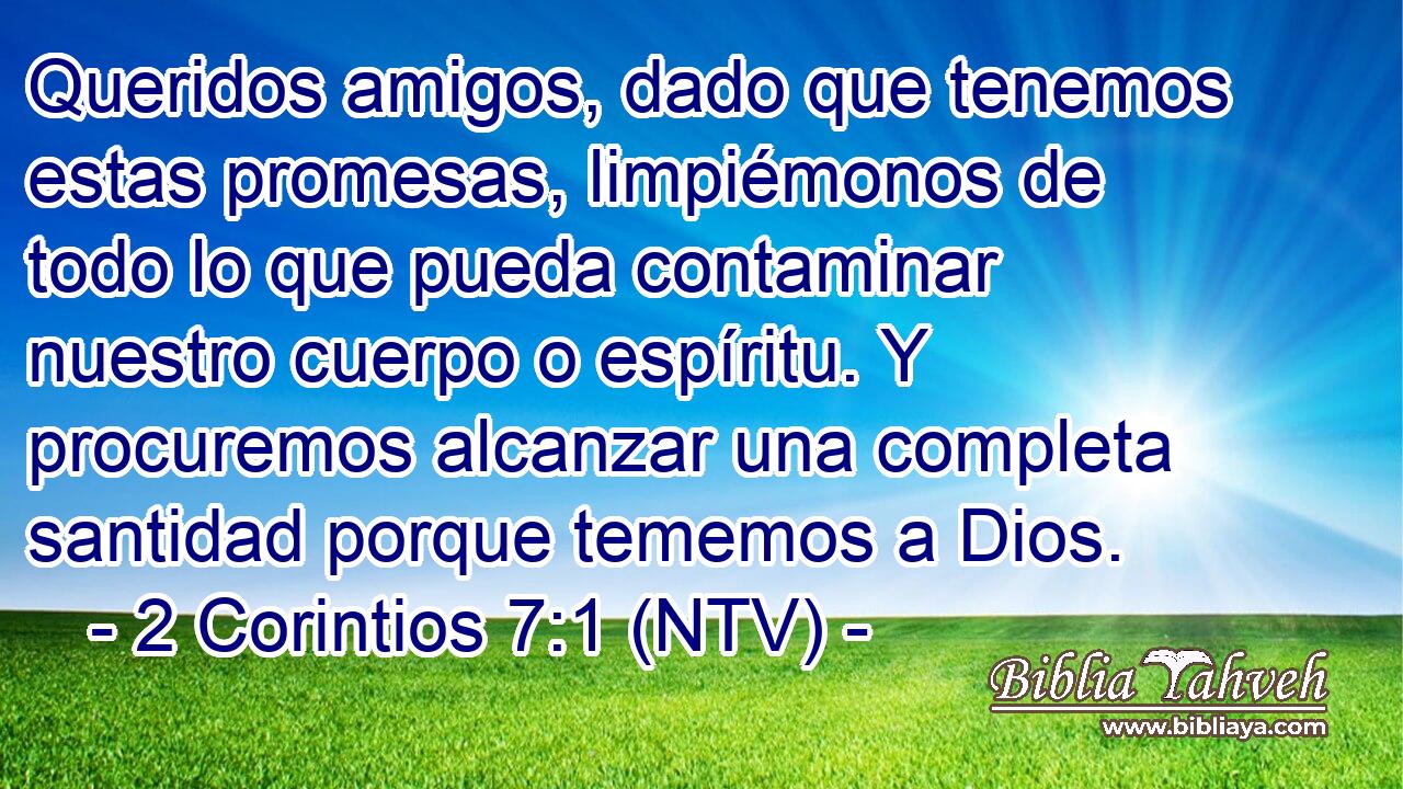 Queridos amigos, dado que tenemos estas promesas, limpiémonos de todo lo que pueda contaminar nuestro cuerpo o espíritu. Y procuremos alcanzar una completa santidad porque tememos a Dios.