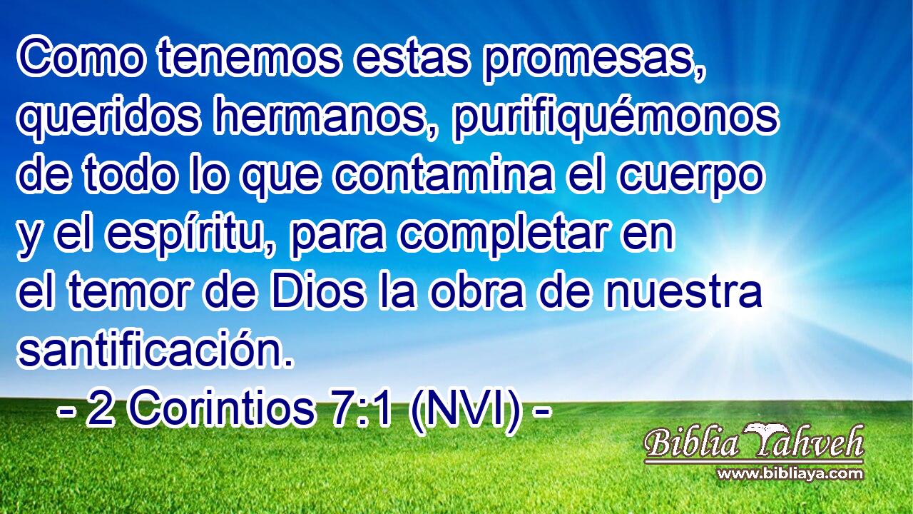  Como tenemos estas promesas, queridos hermanos, purifiquémonos de todo lo que contamina el cuerpo y el espíritu, para completar en el temor de Dios la obra de nuestra santificación. 