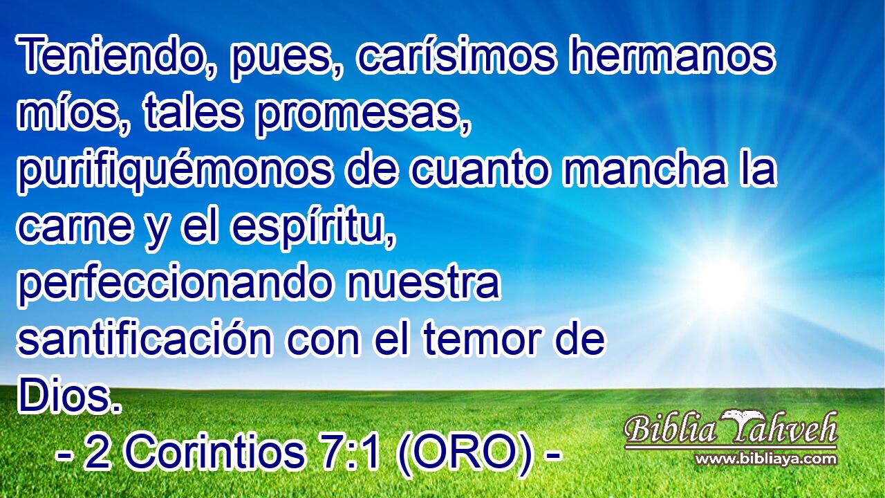  Teniendo, pues, carísimos hermanos míos, tales promesas, purifiquémonos de cuanto mancha la carne y el espíritu, perfeccionando nuestra santificación con el temor de Dios. 
