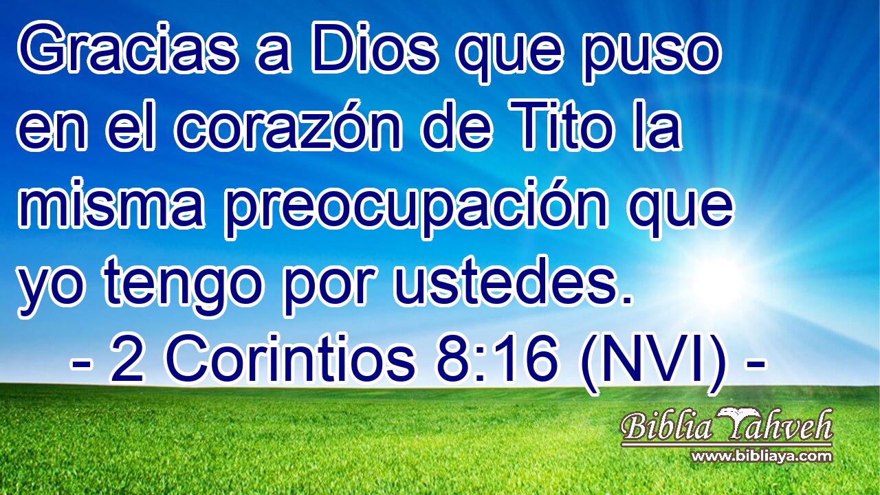  Gracias a Dios que puso en el corazón de Tito la misma preocupación que yo tengo por ustedes. 