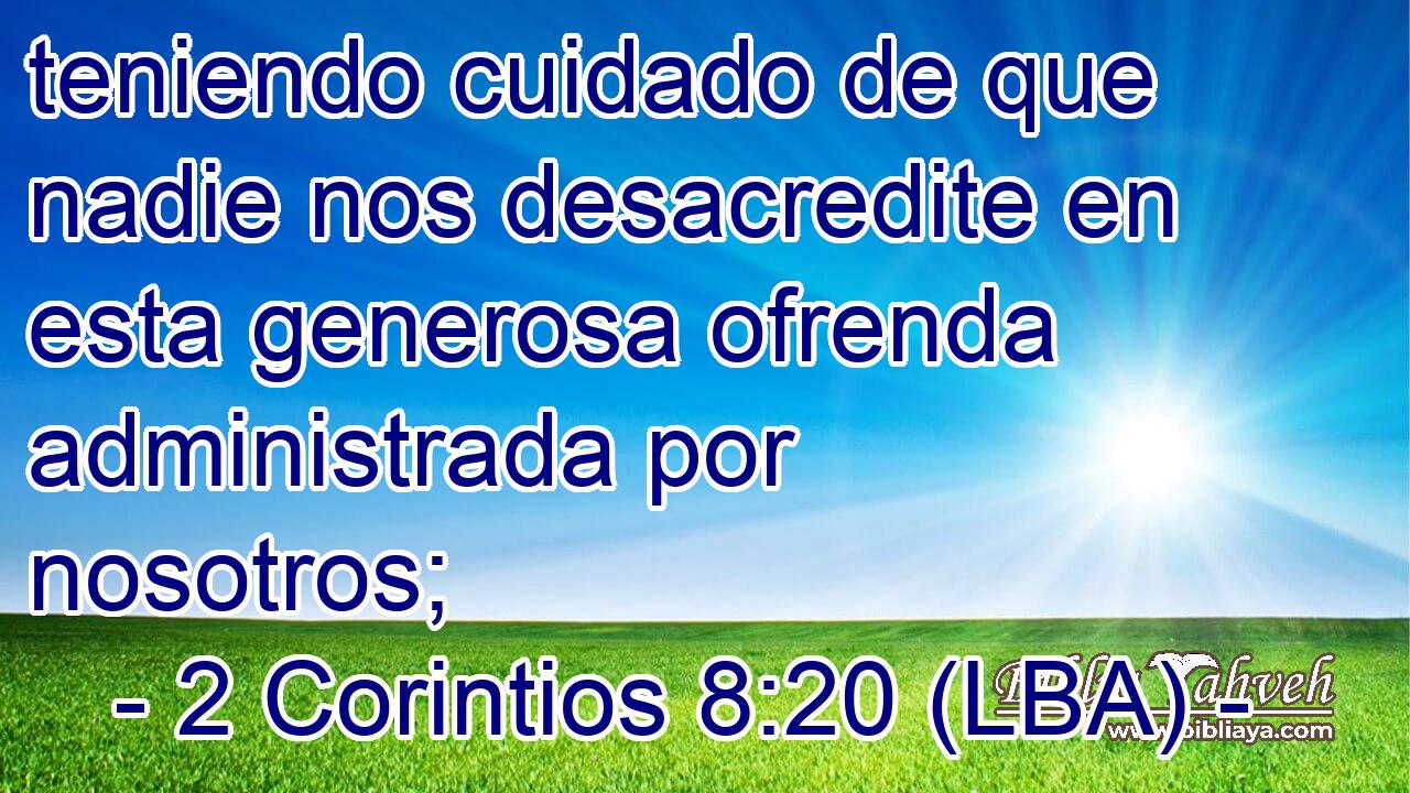 teniendo cuidado de que nadie nos desacredite en esta generosa ofrenda administrada por nosotros;