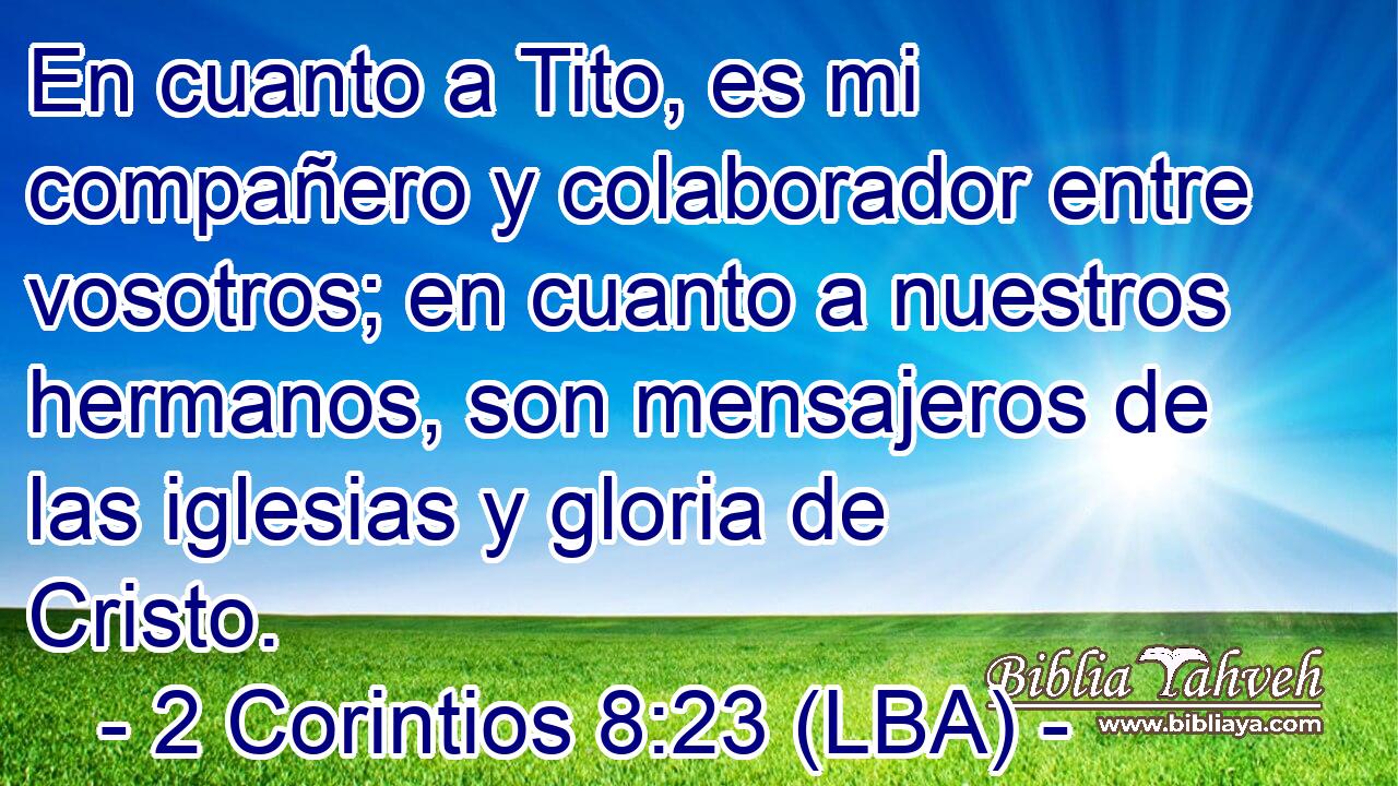 En cuanto a Tito, es mi compañero y colaborador entre vosotros; en cuanto a nuestros hermanos, son mensajeros de las iglesias y gloria de Cristo.