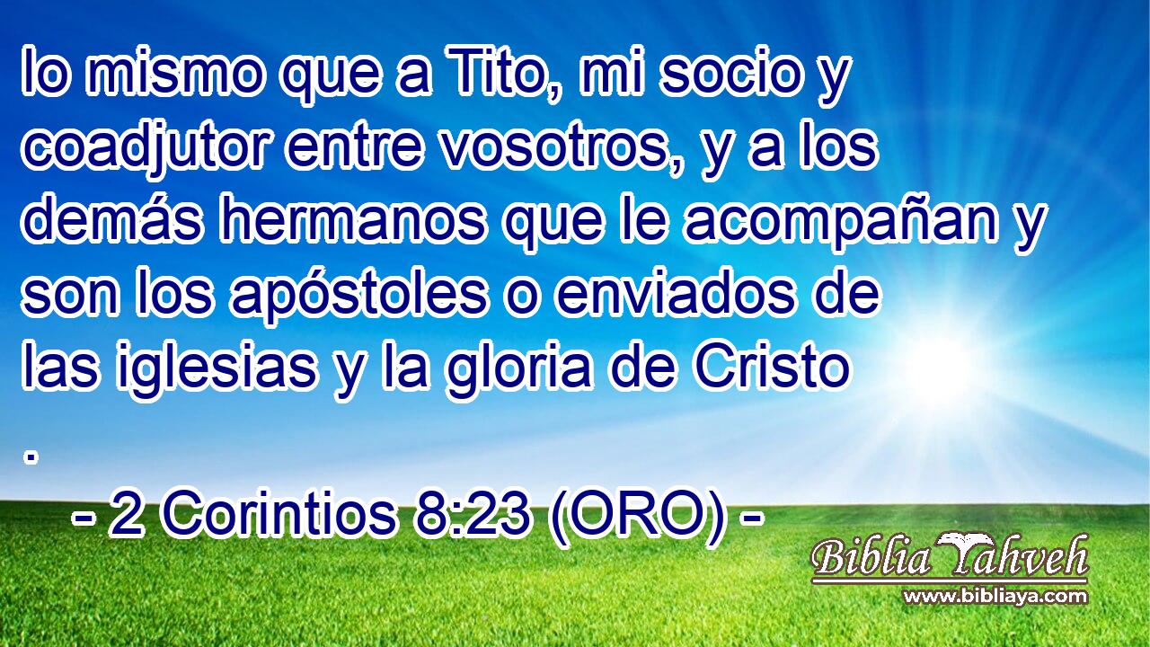 lo mismo que a Tito, mi socio y coadjutor entre vosotros, y a los demás hermanos que le acompañan y son los apóstoles o enviados de las iglesias y la gloria de Cristo . 