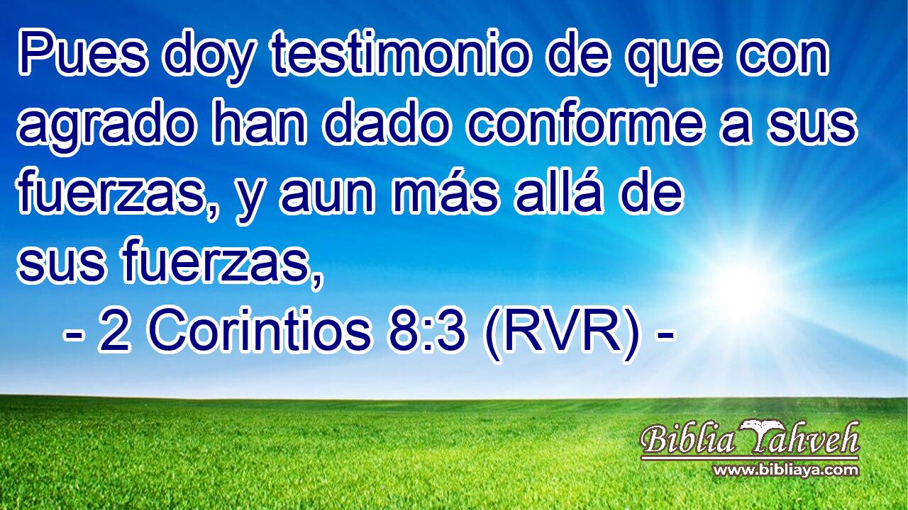 Pues doy testimonio de que con agrado han dado conforme a sus fuerzas, y aun más allá de sus fuerzas,